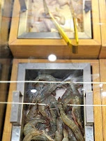 Prawns